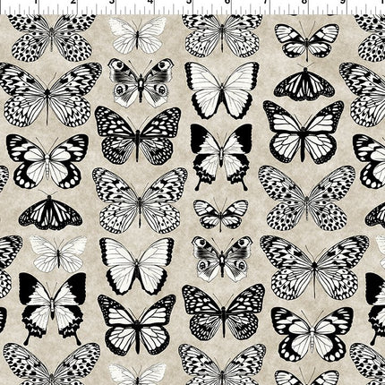In The Beginning Sketchbook: 6SK-1 Butterflies Sand