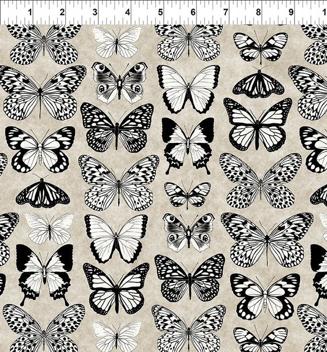 In The Beginning Sketchbook: 6SK-1 Butterflies Sand