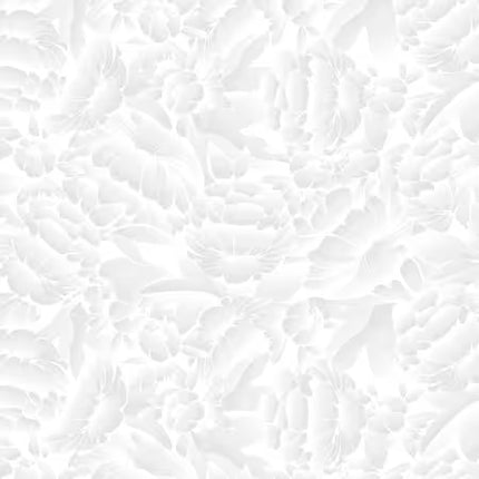 Blank Quilting ~ White Ombre Floral 118in WIDEBACK: # BQ4895-95
