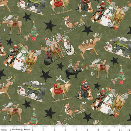 Riley Blake Northern Christmas Main Green SKU: C17830-GREEN