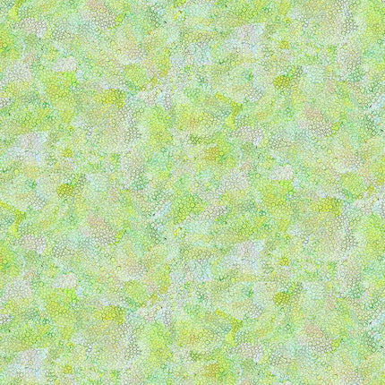 Timeless Treasures Dragonfly Illusions - BUBBLE TEXTURE DOT-CD3212  GREEN