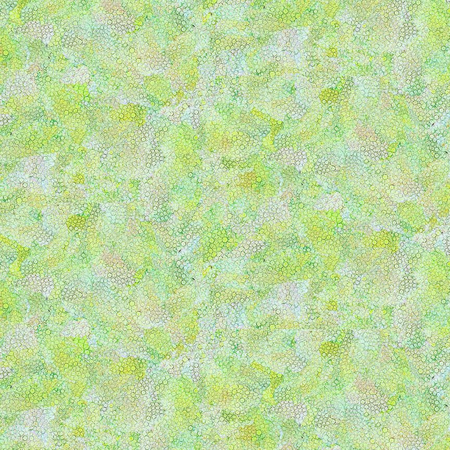 Timeless Treasures Dragonfly Illusions - BUBBLE TEXTURE DOT-CD3212  GREEN