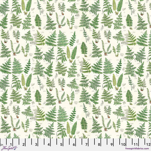 Free Spirit Tim Holtz Palette Collection:  Green Ferns PWTH265.GREEN