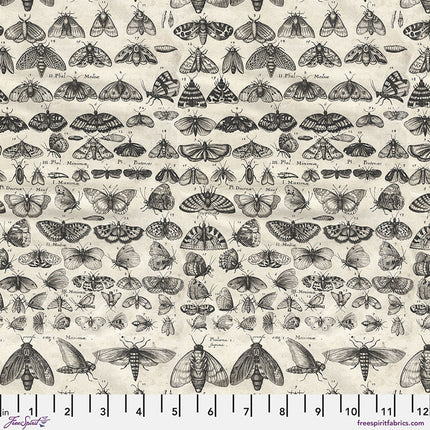 Free Spirit Tim Holtz Palette CHARCOAL ~ Moths PWTH315.CHARCOAL