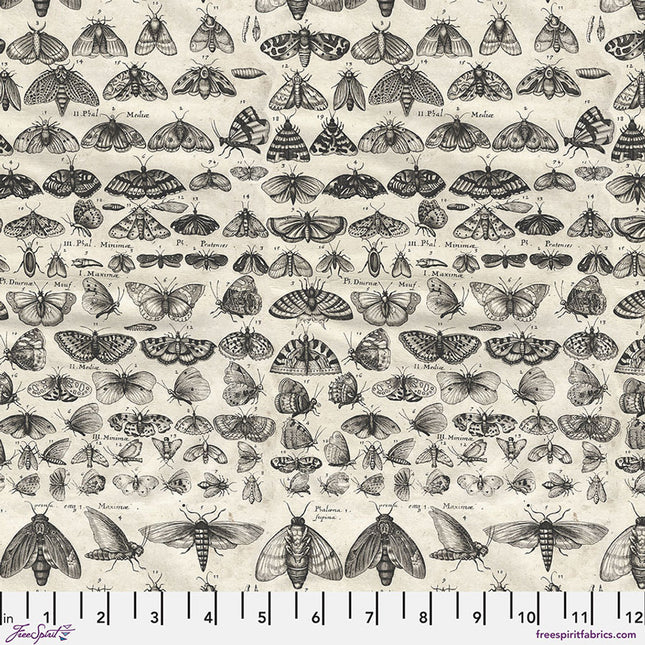 Free Spirit Tim Holtz Palette CHARCOAL ~ Moths PWTH315.CHARCOAL