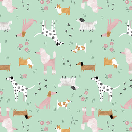 dear STELLA ~ MUTTS ABOUT YOU STELLA-D3291  BALTIC