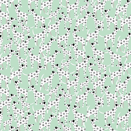 dear STELLA ~ DOTTY ABOUT YOU STELLA-D3294  BALTIC