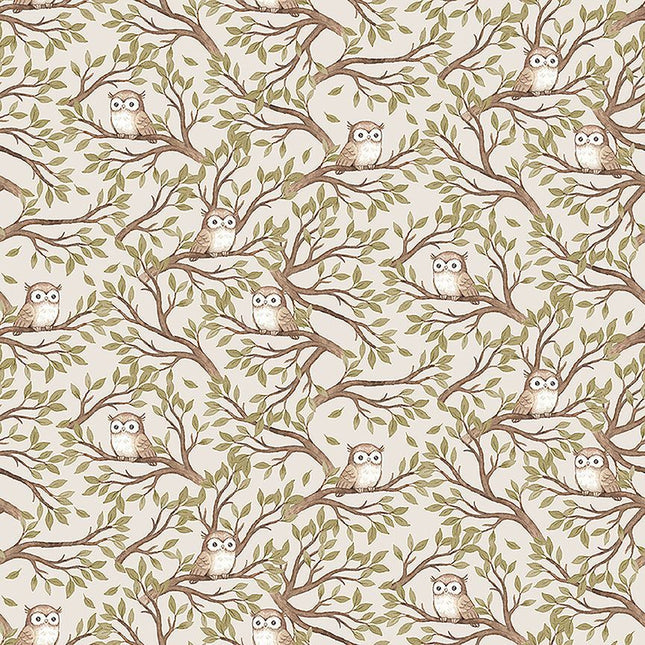 dear STELLA ~ HOOTERS STELLA-DNS3321  TAUPE