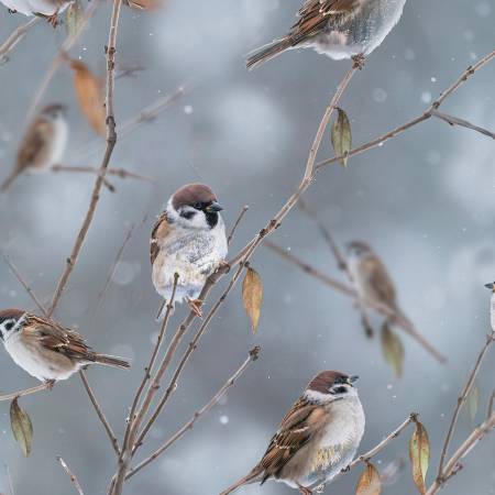 Hoffman Fabrics Sparrow Call of the Wild PANEL X5569H-543