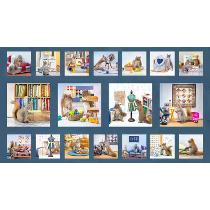 Clothworks The Secret Life of Squirrels Dark Denim Digital Blocks # Y4895-89