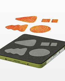 55388 GO! Trees by Reiko Kato Die